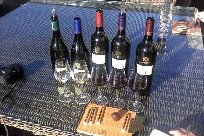 Cape Winelands Wine Tour (Cape To Grape Wine Tours) - Marianne brings biltong to the tasting table