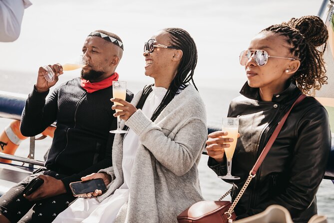 Catamaran Cruise and Sushi Experience in Cape Town - Table Mountain from the sea