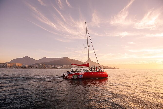 Catamaran Sunset Champagne Cruise Cape Town - Key points to know before booking