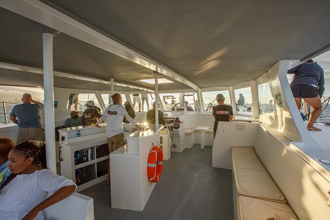 Catamaran Sunset Champagne Cruise Cape Town - Practical booking advice for a smoother evening