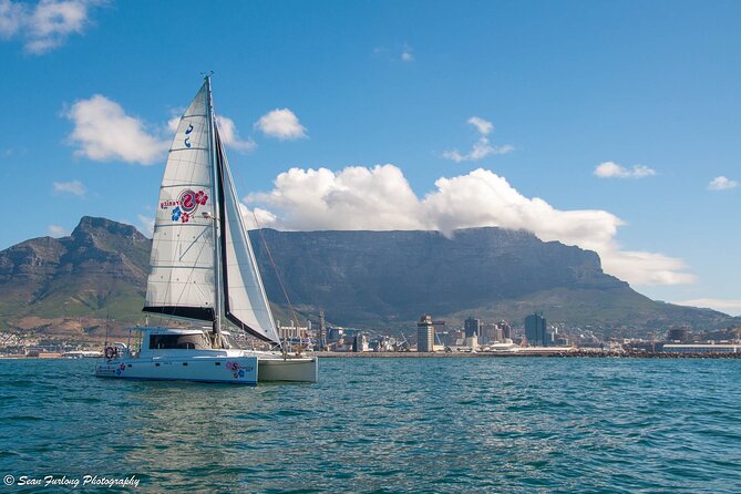 Champagne Cruise (Pre-Sunset) from Cape Town - What the one-hour route gives you
