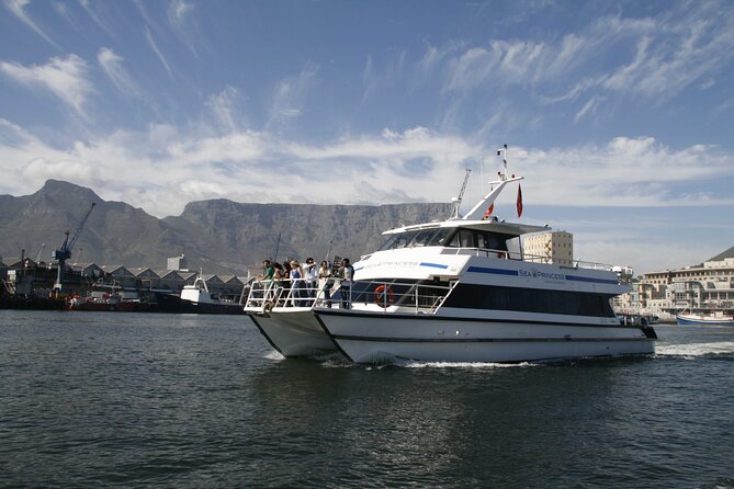 Champagne Cruise (Pre-Sunset) from Cape Town - Views of Table Mountain and the Cape Town coast