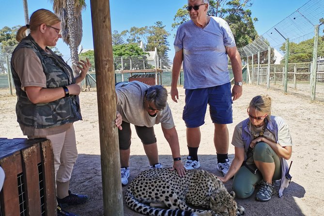 Cheetah Outreach Tour Somerset West, Gordon's Bay and Strand Beaches - Strand Beach and the long coastal finish