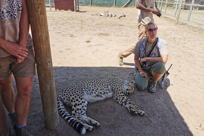 Cheetah Outreach Tour Somerset West, Gordon's Bay and Strand Beaches - Who will enjoy this tour most