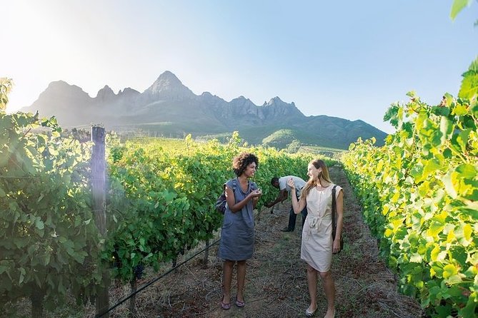 City Sightseeing Full Day Tour with Stellenbosch and Franschhoek Wineries - Why this Cape Winelands day works