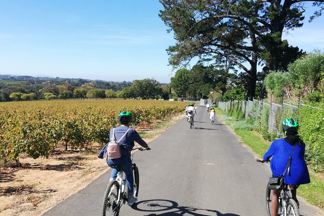 Constantia Hidden Gem Cycle Half Day - Private Tour - Starting at Groot Constantia at 9:00 am