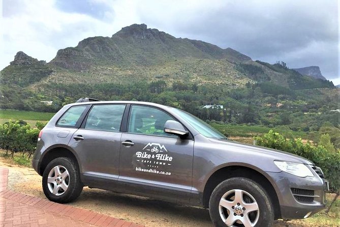 Constantia Hidden Gem Cycle Half Day - Private Tour - Comparing Constantia’s wine estates