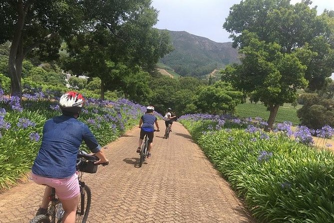 Constantia Hidden Gem Cycle Half Day - Private Tour - How private touring changes the experience