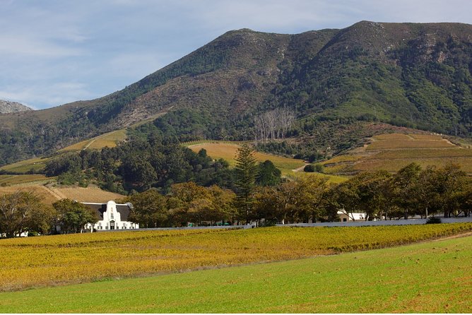 Constantia Hidden Gem Cycle Half Day - Private Tour - Is $148.64 per person fair value?