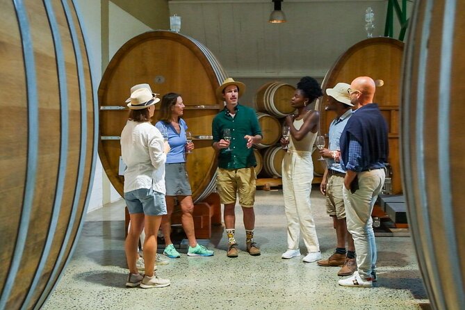 Constantia Wine Walk Storytelling Vineyard Tour with Lunch - The 45-minute walk to Klein Constantia