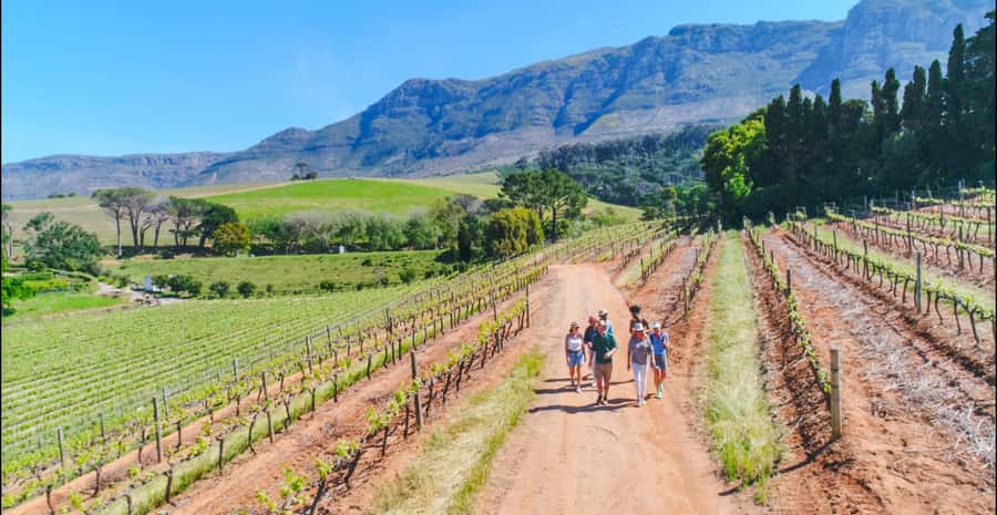 Constantia: Wine Walk with Lunch and Enchanting Stories - Key points to know before you book