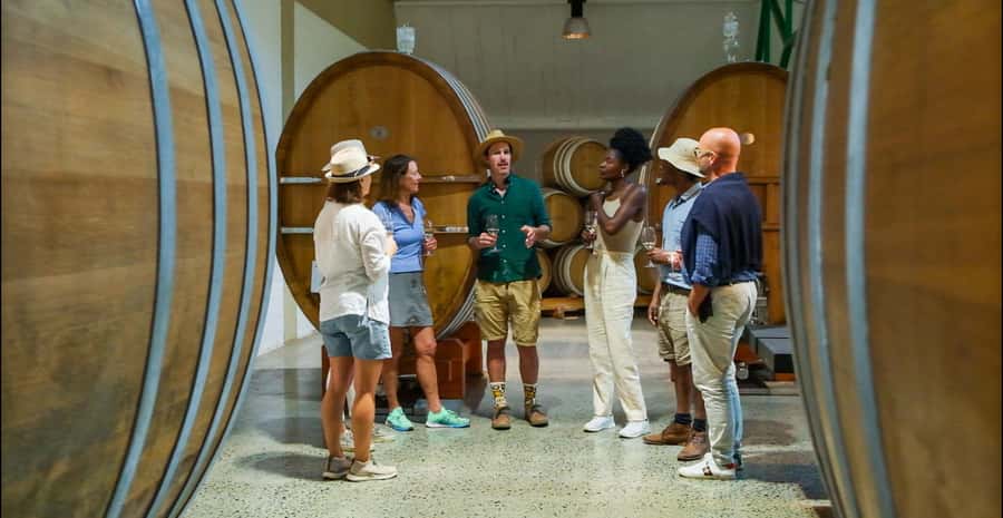 Constantia: Wine Walk with Lunch and Enchanting Stories - What the $149 price buys you