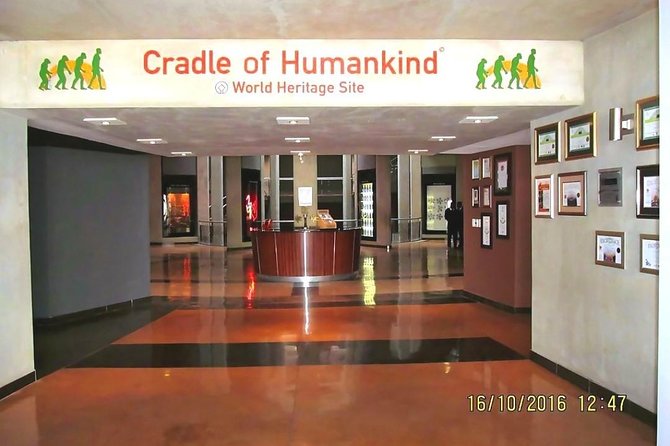 Cradle of Human Kind & Lion & Rhino Park Tour Full day Tour Private - Why pair fossils with lions?