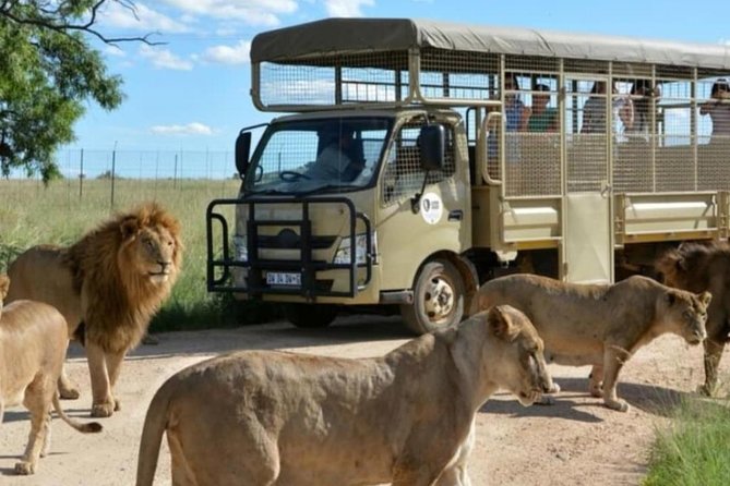 Cradle of Human Kind & Lion & Rhino Park Tour Full day Tour Private - The morning drive from Johannesburg