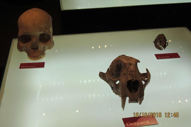 Cradle of Human Kind Tour and Lesedi Cultural Village Day Tour - How the two stops fit together