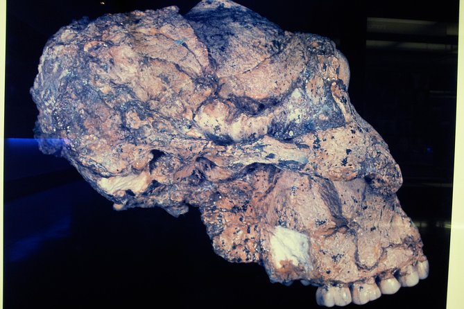 Cradle of Humankind and Maropeng Day Tour from Johannesburg - How the day feels in practice