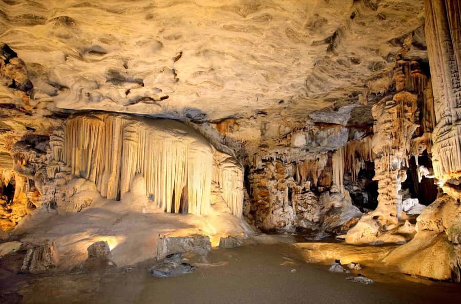 Cradle of Humankind and Sterkfontein Caves Half-Day Tour - The Drive From Johannesburg Takes About 45 Minutes