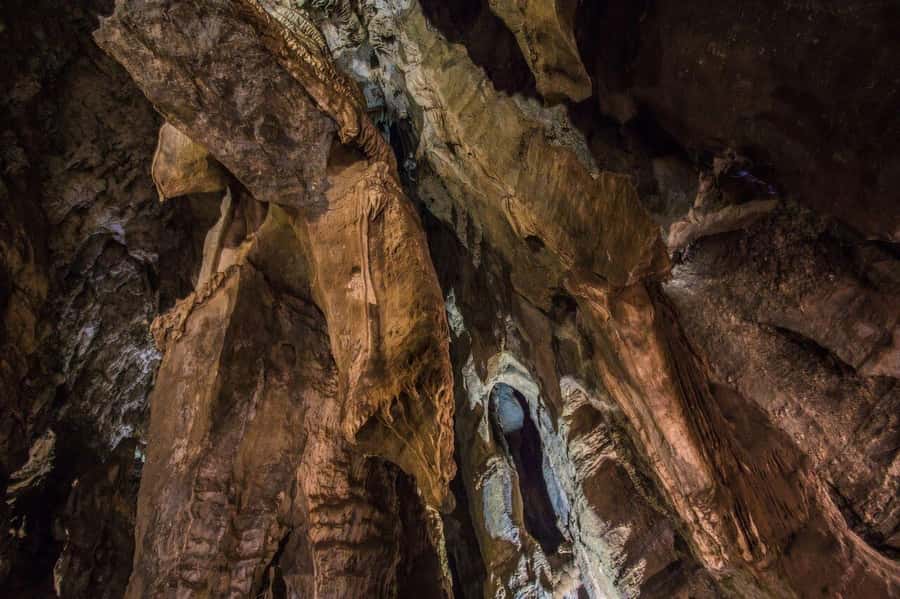 Cradle of Humankind and Sterkfontein Caves Half-Day Tour - Is $120 Per Person Good Value?