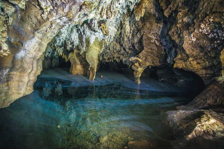Cradle of Humankind and Sterkfontein Caves Half-Day Tour - Practical Advice Before You Go