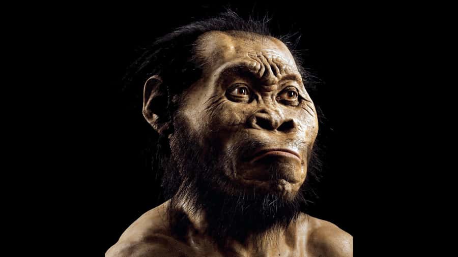Cradle of Humankind and Sterkfontein Caves Half-Day Tour - Walking Into Sterkfontein Caves