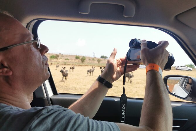 Cradle of Humankind, Caves or Maropeng, Rhino and Lion Park - Who should book this day trip?