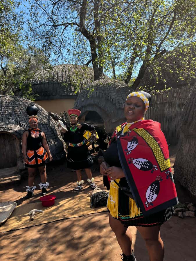 Cradle Of Humankind, Lesedi Cultural Village & Lion's Park - A full Gauteng day built around three very different stops