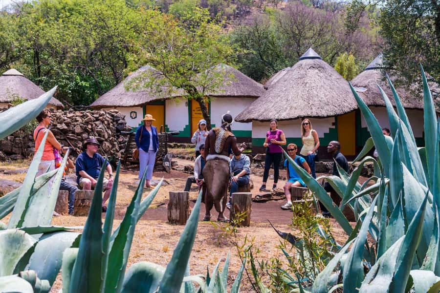 Cradle Of Humankind, Lesedi Cultural Village & Lion's Park - Nyama Choma lunch: plan for an extra cost