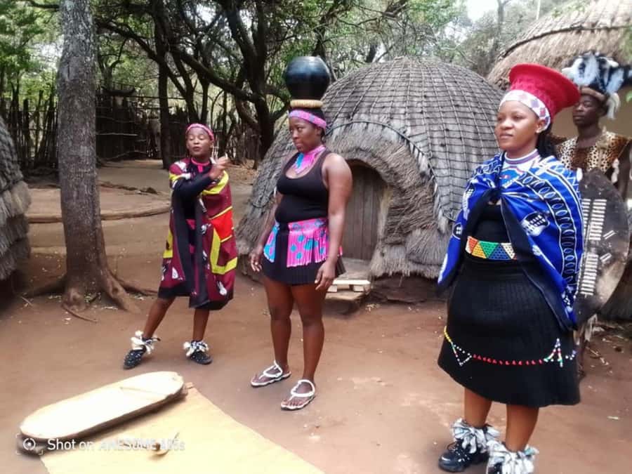 Cradle Of Humankind, Lesedi Cultural Village & Lion's Park - What the guide adds to the experience