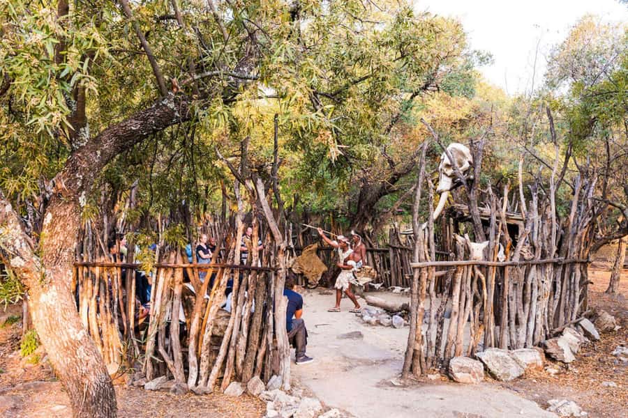 Cradle Of Humankind, Lesedi Cultural Village & Lion's Park - Who will enjoy this day most?