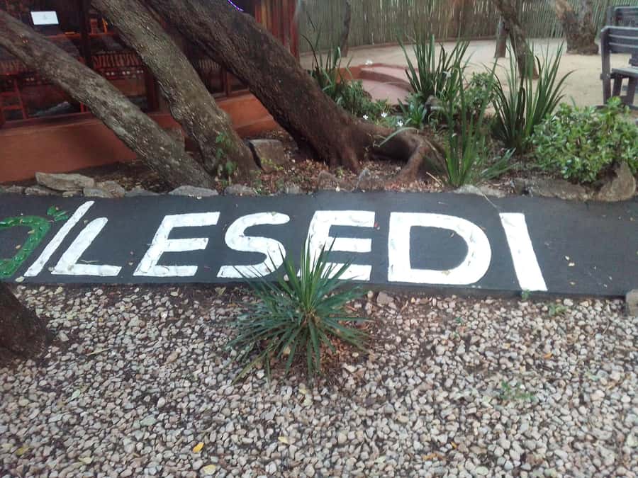 Cradle Of Humankind, Lesedi Cultural Village & Lion's Park - Cradle of Humankind: important fossils, limited time