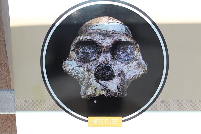 Cradle of Humankind Tour - Sterkfontein Caves with Maropeng Tour - Who will enjoy this tour most