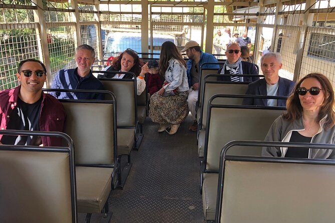 Cradle of Humankind Tour with Lion Safari from Johannesburg - Is $207.05 good value?