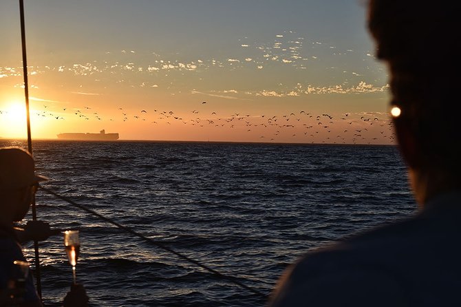 Cruise and Dine Dinner / Cape Town: Sunset Champagne Cruise and 3-Course Dinner - Why this Cape Town evening works so well