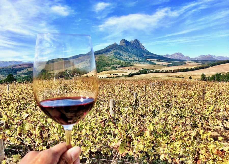 CUSTOMISED PRIVATE WINE TOUR WITH LUNCH - CAPE TOWN - Five useful facts before you book