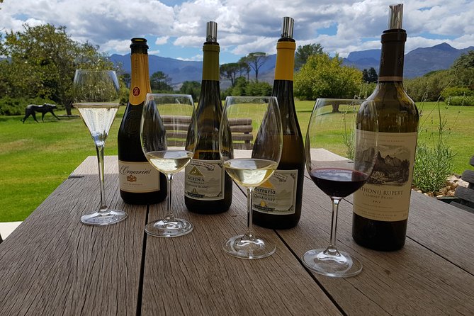 Customized Private Wine Tour - L’Avenir adds cheese, Champagne, and a lakeside table
