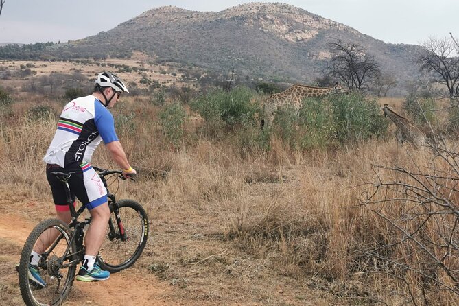 Cycling The Cradle of Humankind in Game Reserve - Game tracks, hills, and the big dam