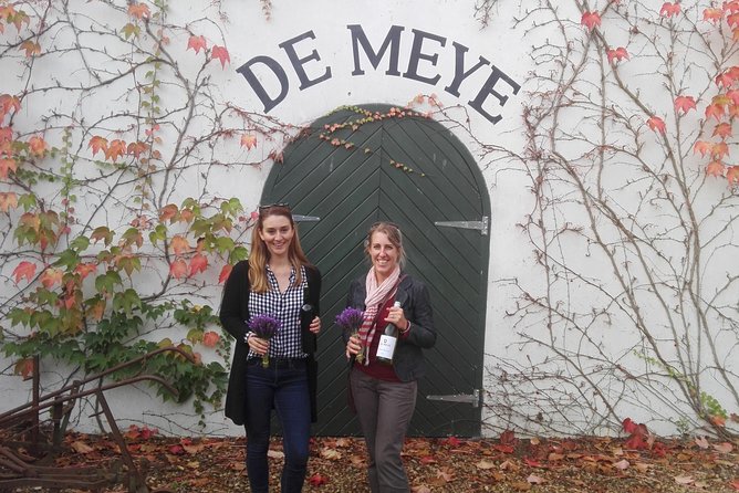 Daily Different small group WINE tour - STELLENBOSCH PICKUP only - Small group size, pickup, and the practical side