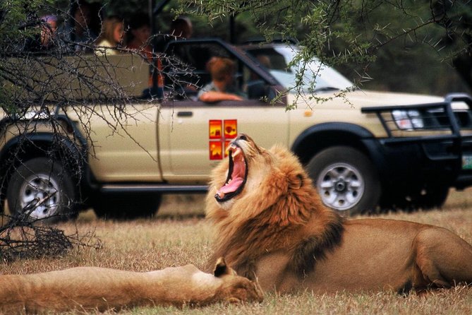 Daily Pilanesberg National Park Private Shuttle Services - What this transfer really offers