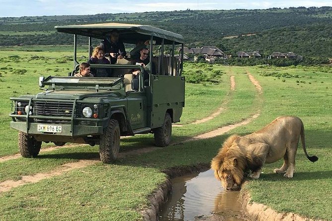 Day Safari at Pumba Private Game Reserve - Why this half-day safari works well