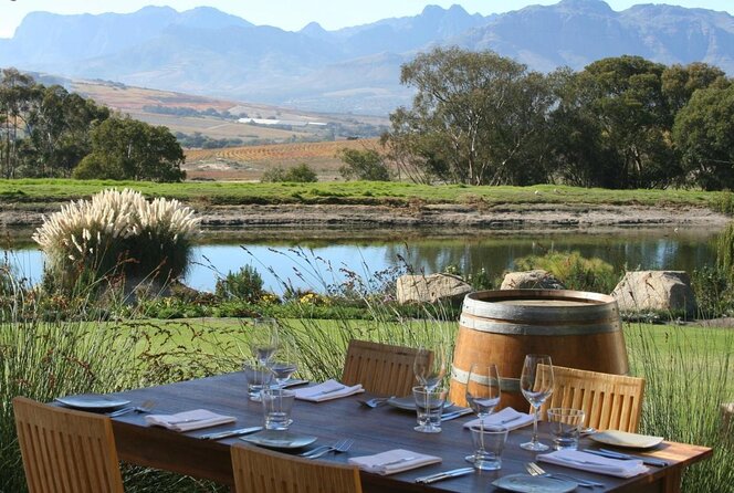 De-Alcoholized Wine Tasting - Key Points to Know Before Booking