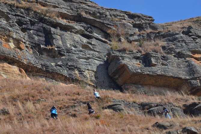 Drakensberg Kamberg Rock Art & Mandela Capture Site Day Tour from Durban - Howick Falls and the Umgeni River