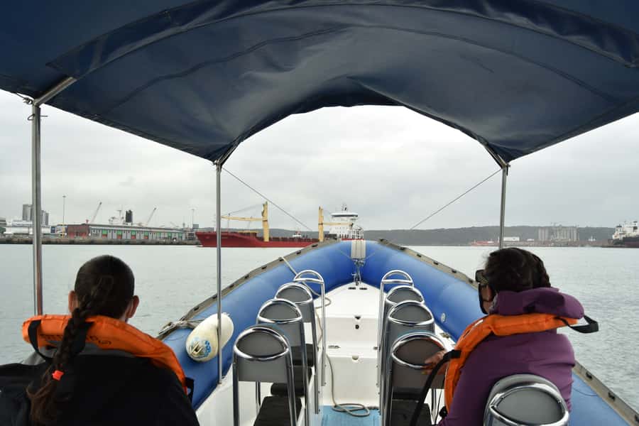 Durban: 1-Hour Boat Cruise from Wilson's Wharf - Who Should Book This Durban Cruise?