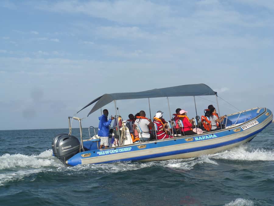 Durban: 1-Hour Boat Cruise from Wilson's Wharf - Starting at Wilson’s Wharf Marina