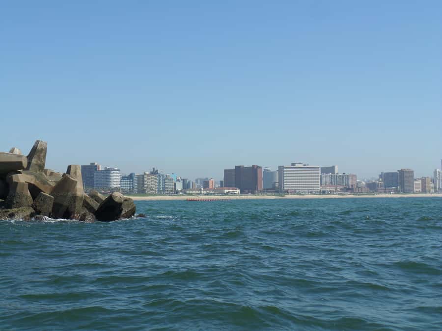 Durban: 1-Hour Boat Cruise from Wilson's Wharf - The Crew Makes the Difference
