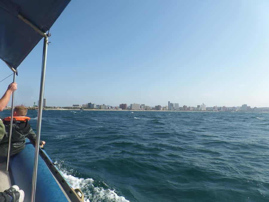 Durban: 1-Hour Boat Cruise from Wilson's Wharf - What to Bring and What to Expect On Board