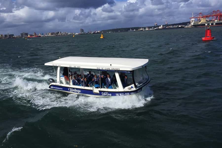 Durban: 30-Minute Harbor Boat Cruise - Skyline Views and Harbor Wildlife