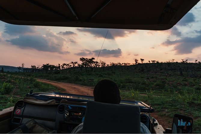 Durban: Big 5 Safari - Open Safari Vehicle at Exclusive Reserve - Leaving Durban Before the Wildlife Wakes