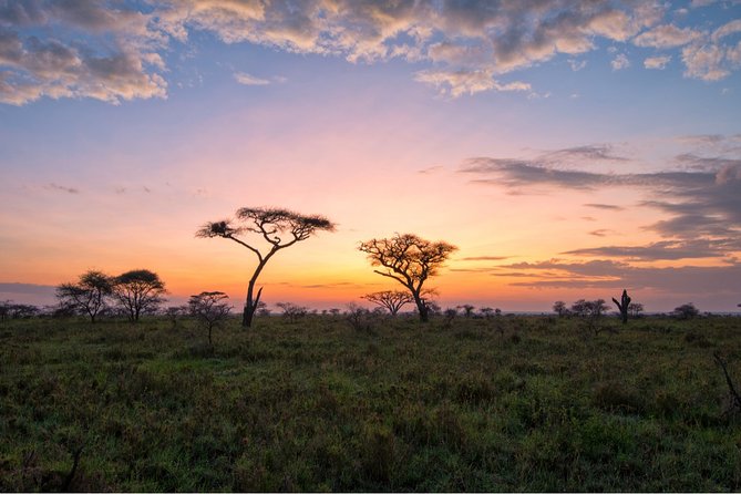 Durban: Big 5 Safari - Open Safari Vehicle at Exclusive Reserve - Food, Water, and What You Need to Bring