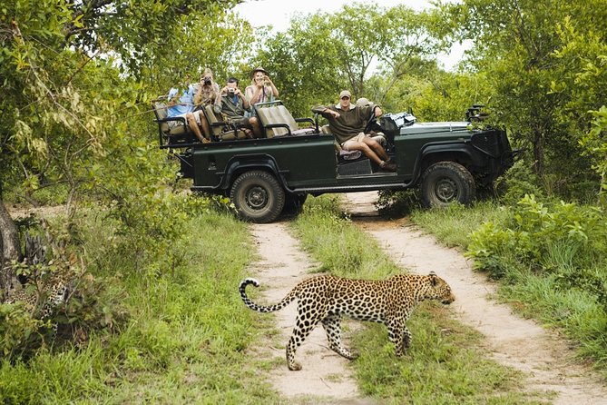 Durban: Big 5 Safari - Open Safari Vehicle at Exclusive Reserve - Entering Manyoni Private Game Reserve