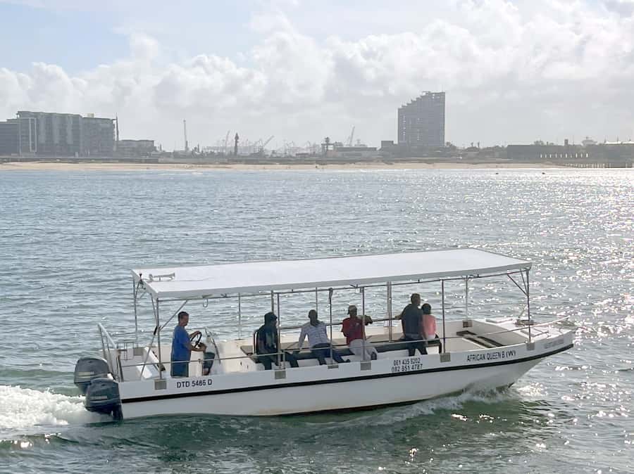 Durban: Durban: Whale and Dolphin Watching Boat Tour - Setting out from Wilson’s Wharf Marina